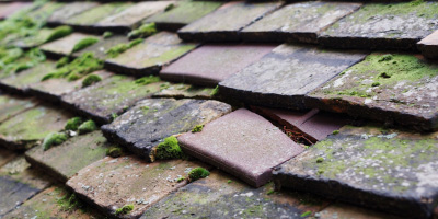 Mattersey roof repair costs